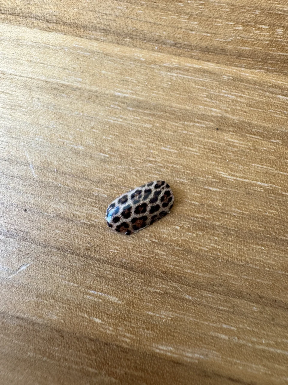 Petite pièce imprimée d’un motif léopard, posée sur une table